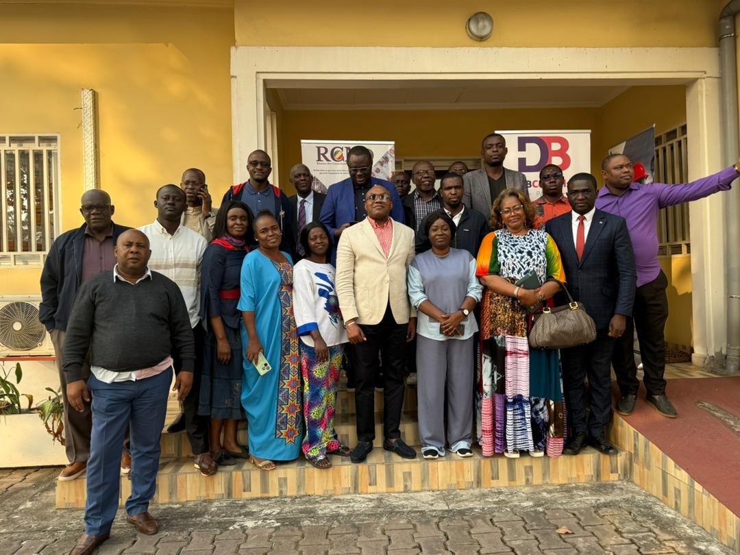 Consultants travaillant ensemble