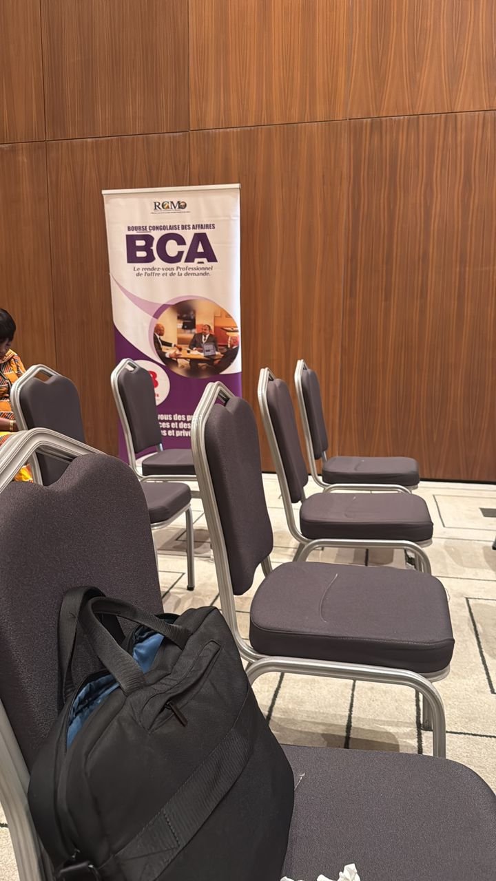 Consultants en mission